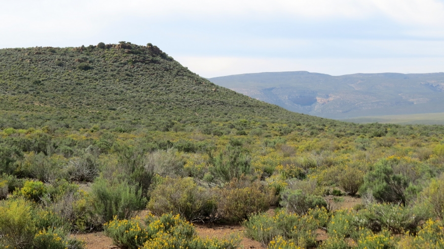 Commercial Property for Sale in Montagu Rural Western Cape